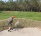 IMG_5269_wally_sand_shot