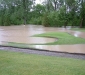 7th green